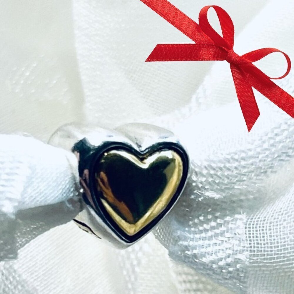 ❤️ NWOT Heart Charm